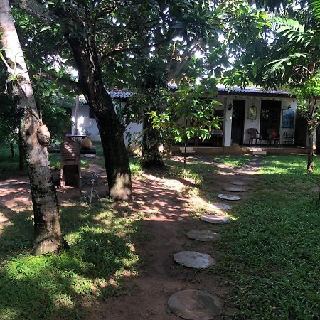 Sylvester Villa Hostel Negombo Kültér fotó