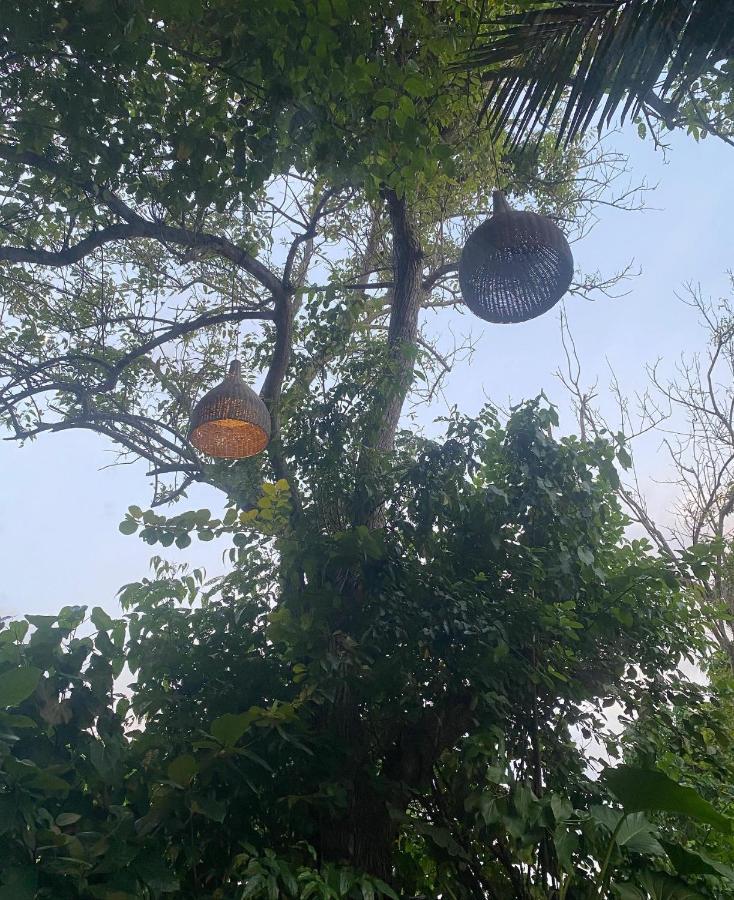 Sylvester Villa Hostel Negombo Kültér fotó