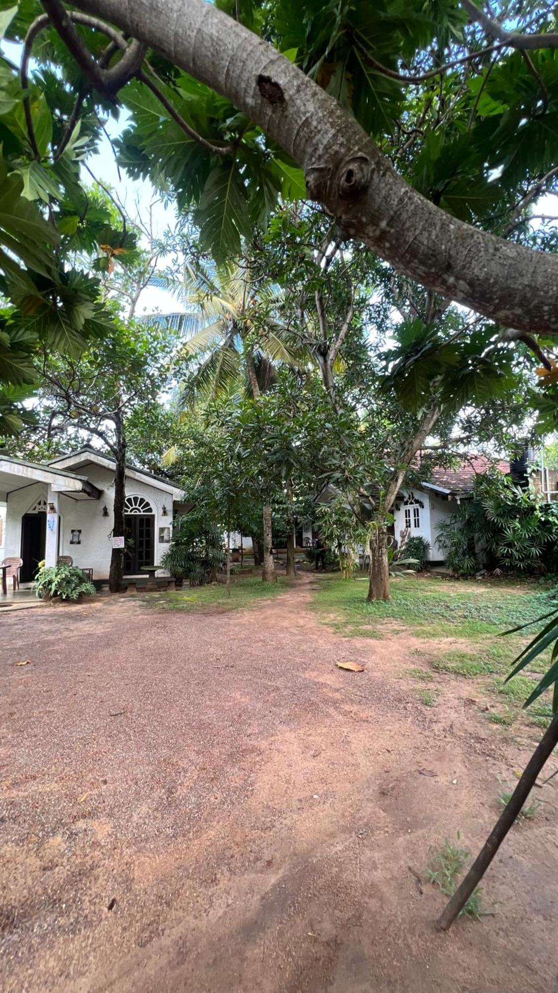 Sylvester Villa Hostel Negombo Kültér fotó