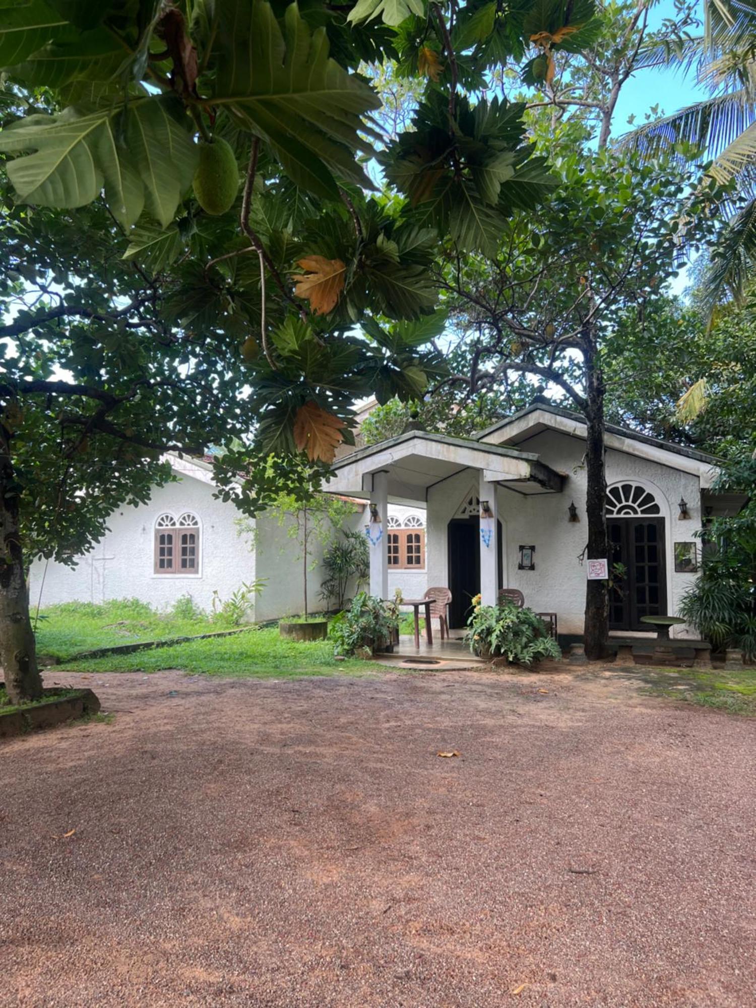 Sylvester Villa Hostel Negombo Kültér fotó